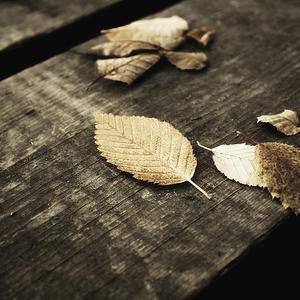 亚洲人交配视频
